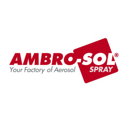 Barniz Spray Transparente Brillo 9201