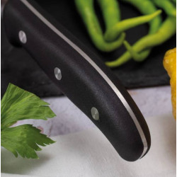 Cuchillo Pan Domus