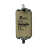Fusible De Cuchilla  63A