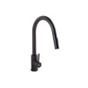 Grifo Fregadero de ncimera Negro Acero Cepillado Con Manguera Extensible