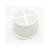 Cestillo skimmer Piscina Astral