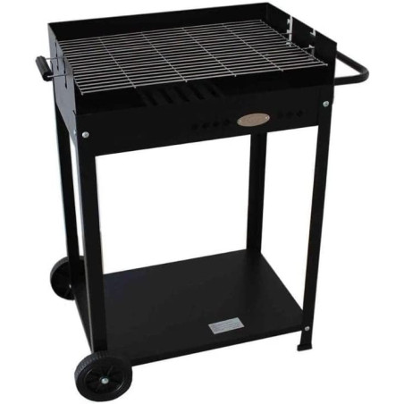 BARBACOA RECTANGULAR TORINO 60x40 IMOR