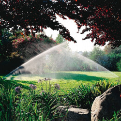 Aspersor emergente de turbina RainBird 5000