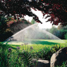 Aspersor emergente de turbina RainBird 5000