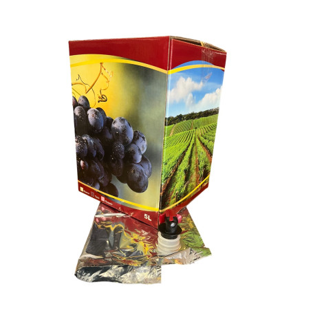 CARTON VINO 5 L completo