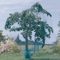 Malla Antipajaros 5x10