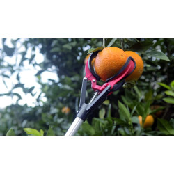 Recoge Frutas 3 Pinzas Extensible 1,30-2 metros