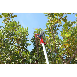 Serrucho Cortarramas Telescopico KM-62 3m Kamikaze